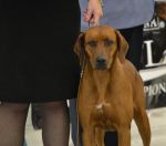 Filename=Carmen 1.jpg
Filesize=140KiB
Dimensions=1000x885
Date added=Feb 20, 2012 Carmen 1.jpg