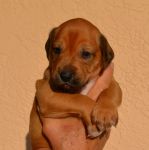 Filename=Pink Girl~1.jpg
Filesize=228KiB
Dimensions=1161x1165
Date added=Oct 28, 2013 Pink Girl~1.jpg