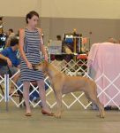 Filename=brieses.jpg
Filesize=470KiB
Dimensions=1500x1643
Date added=Dec 02, 2013 brieses.jpg